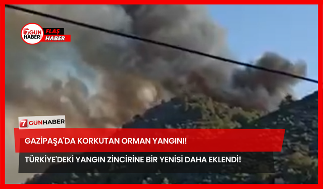 Gazipaşa'da Korkutan Orman Yangını! Türkiye'deki Yangın Zincirine Bir Yenisi Daha Eklendi!