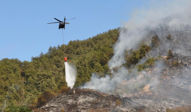Alanya’da Aliefendi ve İspatlı’da Devam Eden Orman Yangını Kontrol Altına Alındı