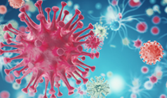 Alanya'da Grip Alarmı: Uzmanlar Uyarıyor!