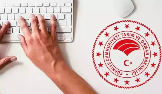 Antalya'da Gıda Güvenliği Alarmı Verilirken Alanya Ne Durumda?