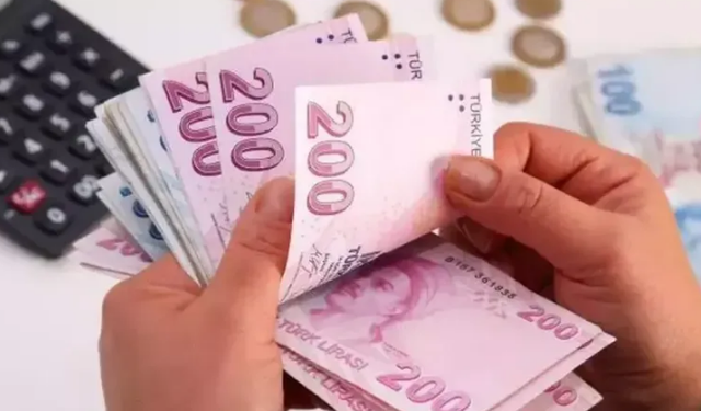 Tamamlayıcı Emeklilik Sigortası ile Emeklilikte Yeni Dönem Başlıyor