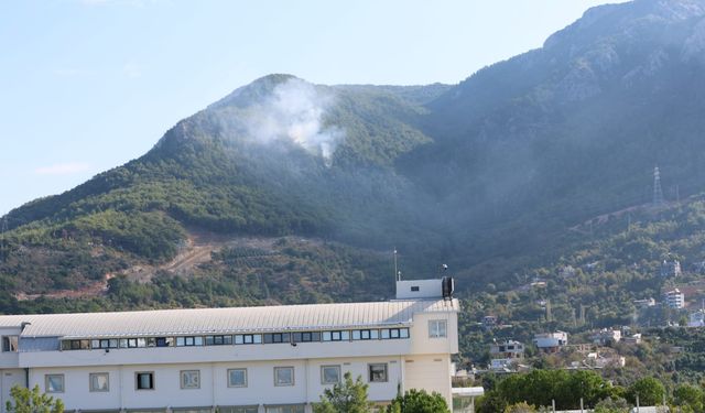 Alanya'da Dağlık Alanya Yangın Çıktı: Ekipler Kısa Sürede Kontrol Altına Aldı