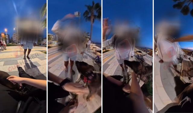 Alanya'da Turist Kadın Köpeği Yüzünden T*ciz Skandalı
