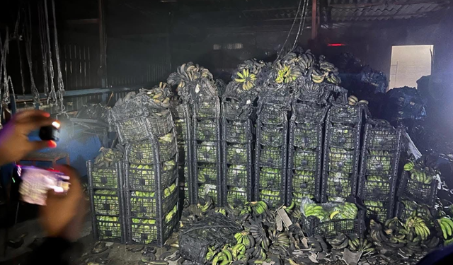 Alanya Demitaş'da Muz Deposunda Yangın: Tonlarca Ürün Kül Oldu