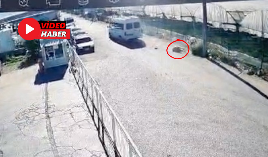 Antalya’da Cinayet Gibi Kaza! Minibüsüyle Ezip Öldürdü