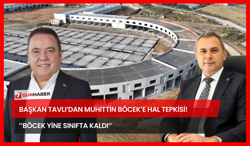 Başkan Tavlı’dan Muhittin Böcek’e Hal Tepkisi! ’’Böcek Yıne Sınıfta Kaldı’’