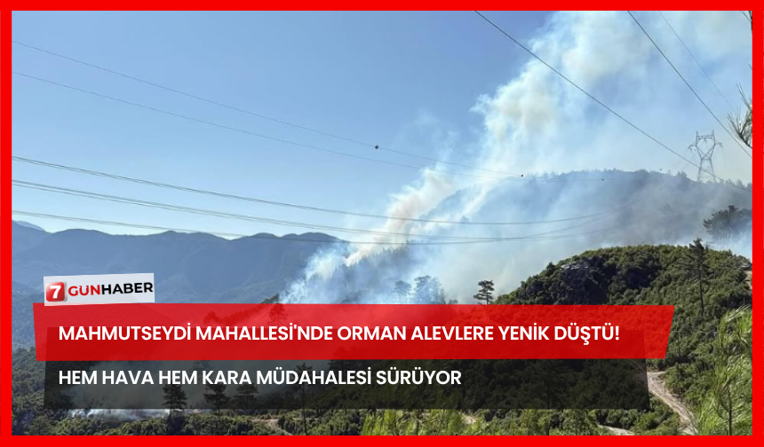 Mahmutseydi Mahallesi'nde Orman Alevlere Yenik Düştü! Hem Hava Hem Kara Müdahalesi Sürüyor