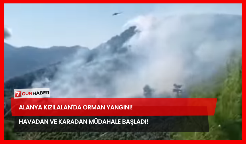 Alanya Kızılalan'da Orman Yangını! Havadan ve Karadan Müdahale Başladı!