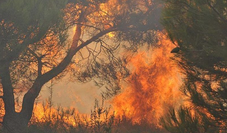 Alanya’da Orman Yangını Devam Ediyor: Şıhlar Mahallesi Boşaltıldı!