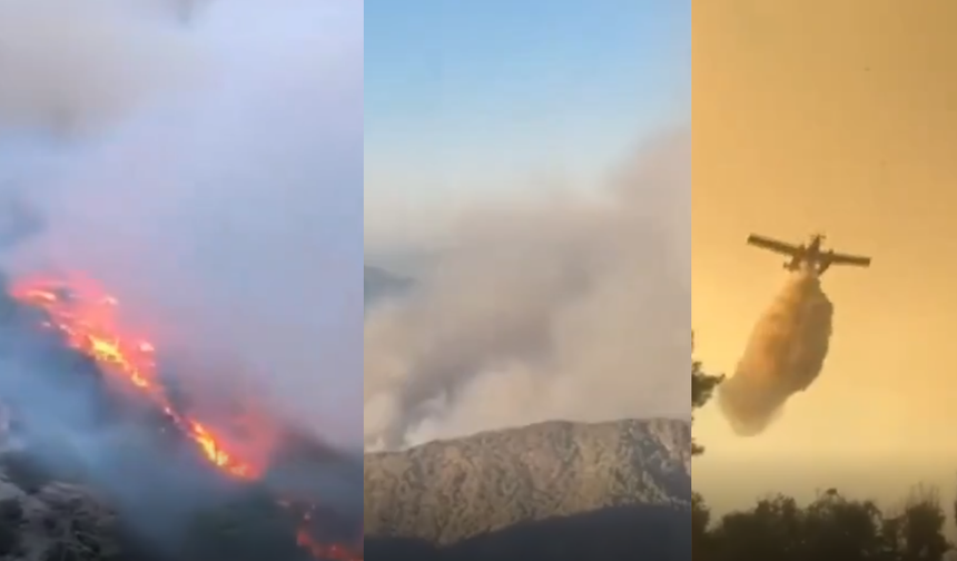 Muğla’da Orman Yangını Devam Ediyor: 7 Ayrı Yangına Müdahale Sürüyor
