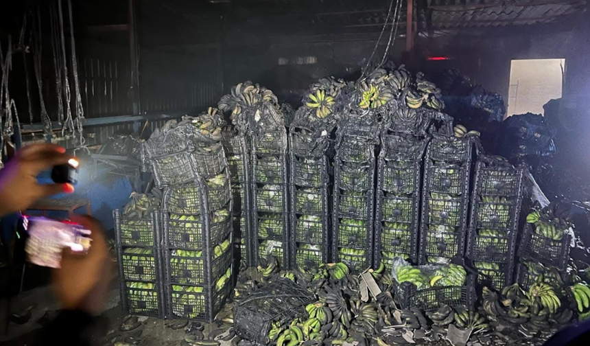 Alanya Demitaş'da Muz Deposunda Yangın: Tonlarca Ürün Kül Oldu