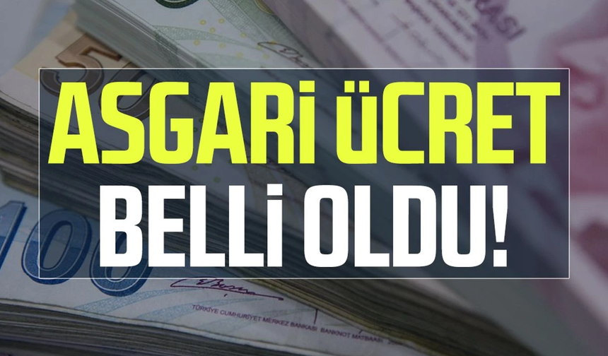 Çalışma Ve Sosyal Güvenlik Bakanı Vedat Işıkhan Yeni Asgari Ücreti Açıkladı
